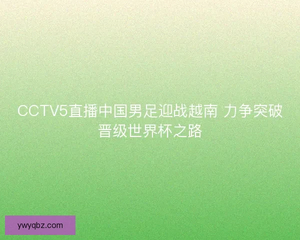 CCTV5直播中国男足迎战越南 力争突破晋级世界杯之路