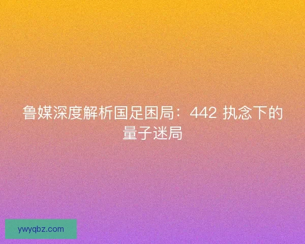 鲁媒深度解析国足困局：442 执念下的量子迷局