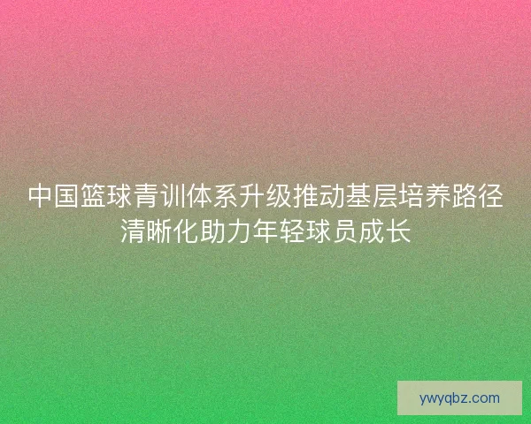 中国篮球青训体系升级推动基层培养路径清晰化助力年轻球员成长